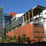 Bellevue Council praises program that provides jobs for people with disabilities