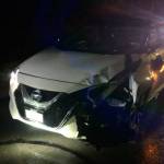 A photo of the DUI crash courtesy of the Bellevue Police Department