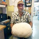 Chimacum man finds huge mushroom in his field