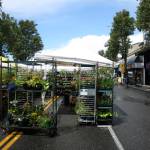 The West Seattle Farmers Market on June 10, 2018. Photo by Melissa Hellmann
