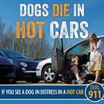 Police remind residents of heat saftey for pets