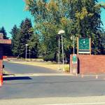 Video of Bothell-based trainer hitting dog with bat prompts social media outrage