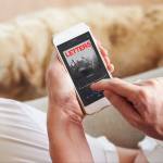 A climate action plan for Bellevue