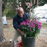 Dale Griffin places donated plants into a pot to place around the new serenity garden at Congregations for the Homeless in Bellevue. Stephanie Quiroz/staff photo