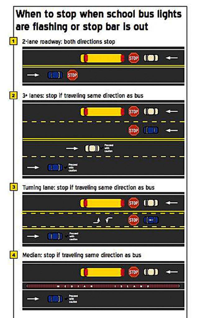 When to stop when school bus lights are flashing or stop bar is out. Graphic courtesy of City of Bellevue Transportation Department.