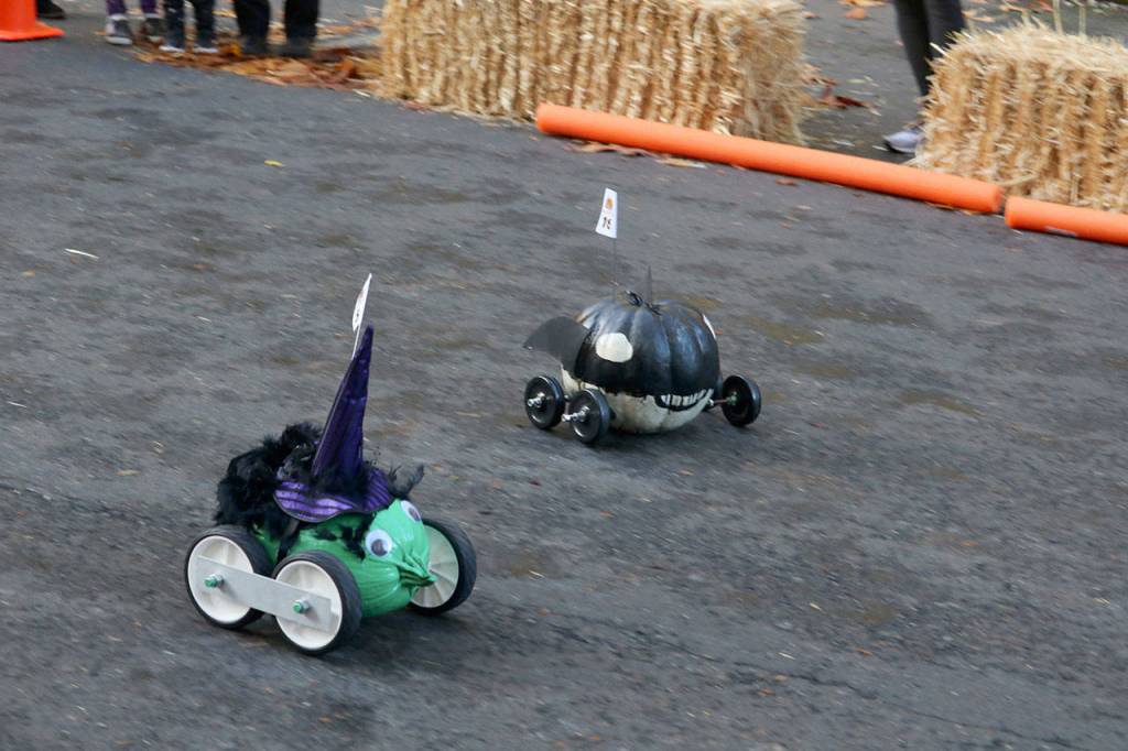 Two pumpkins race down the hill in the South Bellevue Community Center parking lot at the Great Pumpkin Race on Oct. 27. Evan Pappas/Staff Photo