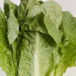 Romaine lettuce, beef recalled just before Thanksgiving