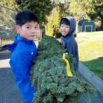 Aiden Yin and Joshua Zhao carry a tree to the lot for the Boy Scout Troop 626 of Bellevue 36th annual Christmas tree sale fundraiser. Courtesy of Jon Trohimovich.