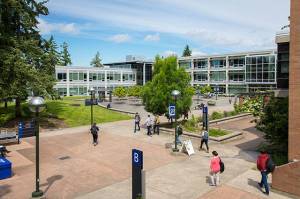 Bellevue College receives $300,000 grant to address campus sexual violence