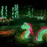 A dragon built from Christmas lights was featured at this Garden dLight 2018 event. Photo courtesy of Michael Burton