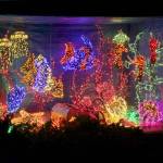 A fish tank scene built from lights. Photo courtesy of Michael Burton