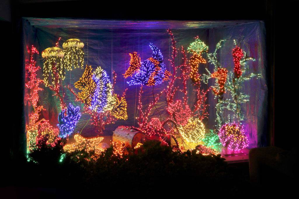 A fish tank scene built from lights. Photo courtesy of Michael Burton