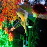 Attendees walk through the garden, enjoying the lights display. Photo courtesy of Anita White