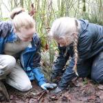The city of Bellevue and EarthCorps remembered the life and legacy of Dr. Martin Luther King Jr. by planting conifer trees on Jan. 21 at Eastgate park in Bellevue. Grace Brueles and Jillian Olson plant a conifer tree. Stephanie Quiroz/staff photo