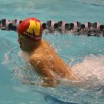 Bellevue-area swimmers shine at state championships