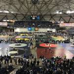 A view from the bleachers at the Mat Classic state wrestling tournament on Feb. 15, 2019. Shaun Scott, staff photo