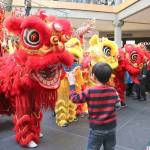 Community members gathered at Bellevue Square on March 2 to celebrate the eighth annual Lunar New Year Celebration. Stephanie Quiroz/staff photo