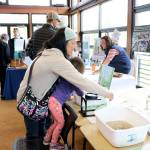 Bellevue celebrates Arbor Day - Earth Day