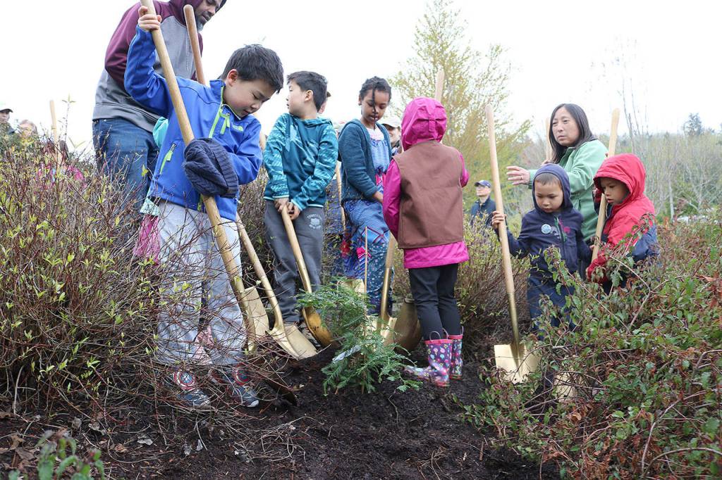 Bellevue park rangers, elected officials, and young children planted a ceremonial tree for Earth Day on April 20. Stephanie Quiroz/staff photo