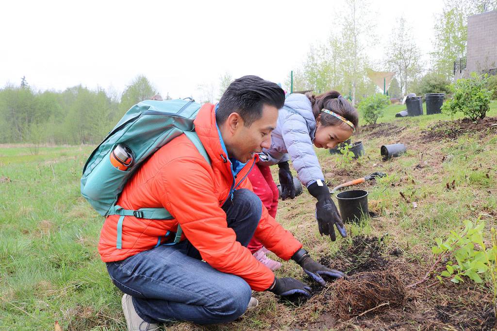 Penjor Ngudup and his daughter Samaya plant a rose bush at Lewis Creek Park for Earth Day on April 20. Stephanie Quiroz/staff photo