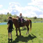 Photos by Stephanie Quiroz/staff                                 Attendees also enjoyed horse and pony rides at the annual Sheep Shearing at Kelsey Creek Farm on April 27.