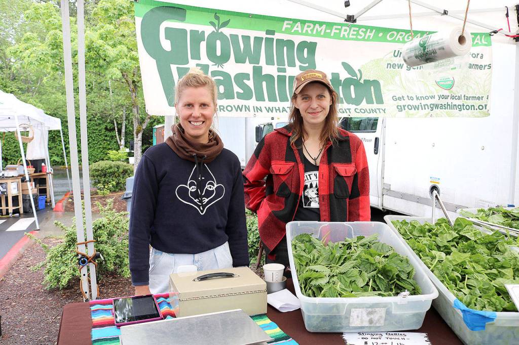 Kaisa Lemley (left) and Lisa Mirkovish from Growing Washington located in Everson on May 16. Stephanie Quiroz/staff photo