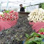 Radish and other greens for sale at the Foothills Farms table at the Bellevue Farmers Market on May 16. Stephanie Quiroz/staff photo