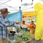 Customer buys green leaves from Foothills Farms at the opening market day in Bellevue on May 16. Stephanie Quiroz/staff photo