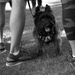 Observe as you walk: Bellevue kicks off Paws on Patrol program