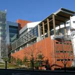 Bellevue City Council proceeds with bike lane, sidewalk project despite pushback