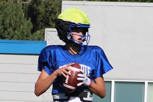 Vikings have sights set on playoffs