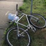 Cyclist dies after car collision on 145th Avenue