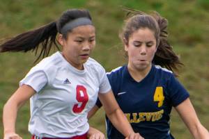 Bellevue starts fast in 4-0 victory over Newport