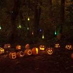 Photo courtesy of Amanda Colburn                                The Islands third Pumpkin Walk is set for Oct. 27 at Luther Burbank Park.