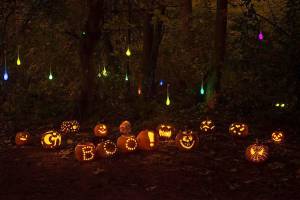Photo courtesy of Amanda Colburn                                The Islands third Pumpkin Walk is set for Oct. 27 at Luther Burbank Park.