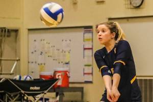 Seniors lead Bellevue volleyball into postseason