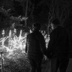 Stephanie Quiroz/staff photo                                The annual event is produced by the Bellevue Botanical Garden Society and Bellevue Parks and Community Services.