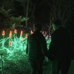 Stephanie Quiroz/staff photo                                The annual event is produced by the Bellevue Botanical Garden Society and Bellevue Parks and Community Services.