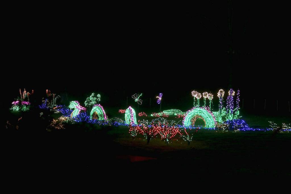 Light displays are entirely planned, built, and installed by volunteers, many who, have been involved since the beginning. Stephanie Quiroz/staff photo