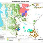 Who owns King County forestlands?