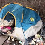 Homelessness authority approved by King County, awaits Seattle vote