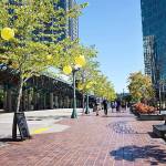 Shot of the city during the pilot period. Photo courtesy Bellevue Downtown Facebook page.