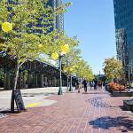 Shot of the city during the pilot period. Photo courtesy Bellevue Downtown Facebook page.