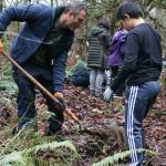 Father and son Jose and Joaquin Garcia plant a tree at Wilburton Hill Park in Bellevue as part of the Dr. Martin Luther King Jr. Day of Service on Jan. 20. The event was hosted by the Natural Resources Division of Bellevue Parks & Community Services and was led by EarthCorps members. Andy Nystrom/ staff photo