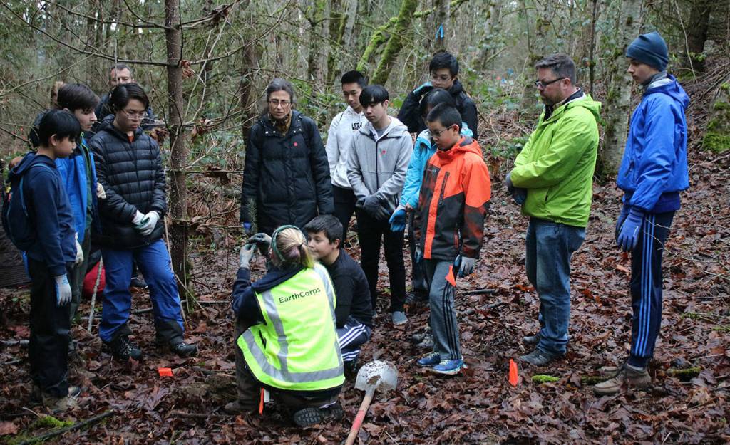 Volunteers learn from EarthCorps group leader Jenny Hakala. Andy Nystrom/ staff photo