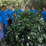Photo courtesy city of Bellevue                                A recent Well-K.E.P.T. crew. Groups of 10 interns between 14 and 18 years old are typically supported by two supervisors.