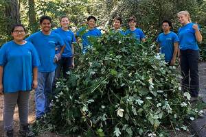 Photo courtesy city of Bellevue                                A recent Well-K.E.P.T. crew. Groups of 10 interns between 14 and 18 years old are typically supported by two supervisors.