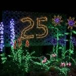 In 2019 Garden dLights celebrated 25 years. This year, COVID-19 has canceled it. Stephanie Quiroz/File photo.