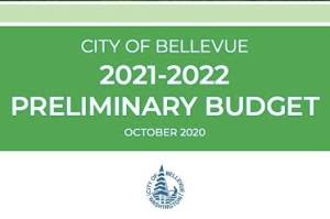 Screenshot from the Bellevue 2021-2022 Preliminary Budget.