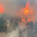 Flames attack the hillside in Bonney Lake on Sept. 8, 2020. (East Pierce Fire & Rescue photo)
